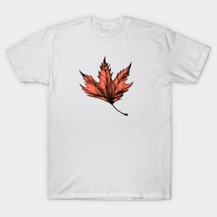 Fall Leaf Drawn T-Shirt